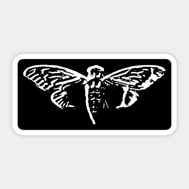 Cicada 3031 Sticker by ilia407